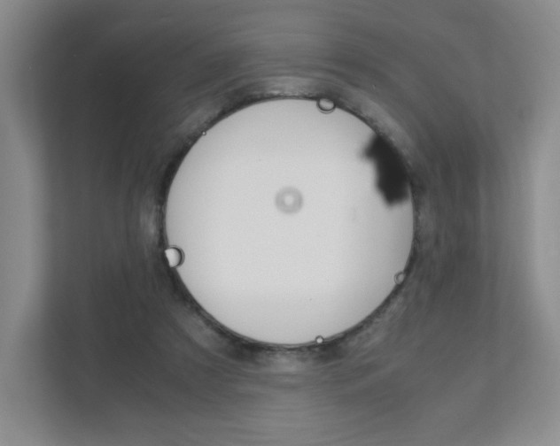 X0000111810305200907231021