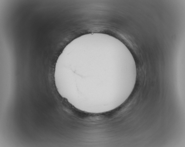 X0000111810307200907231021