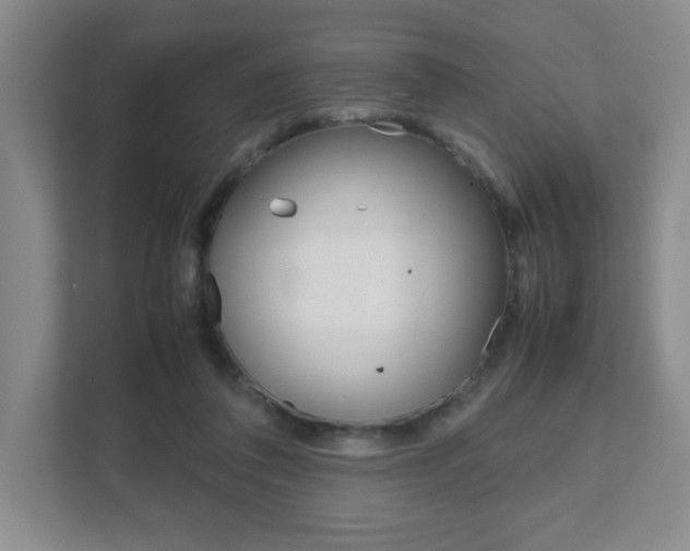 X0000111810308200907231021
