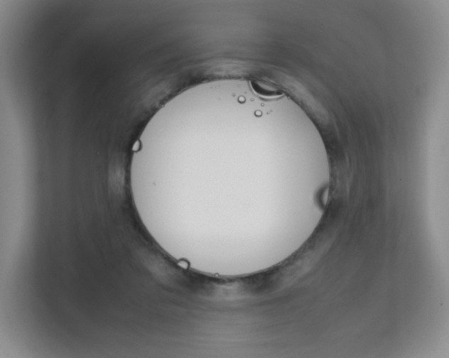 X0000111810309200907231021