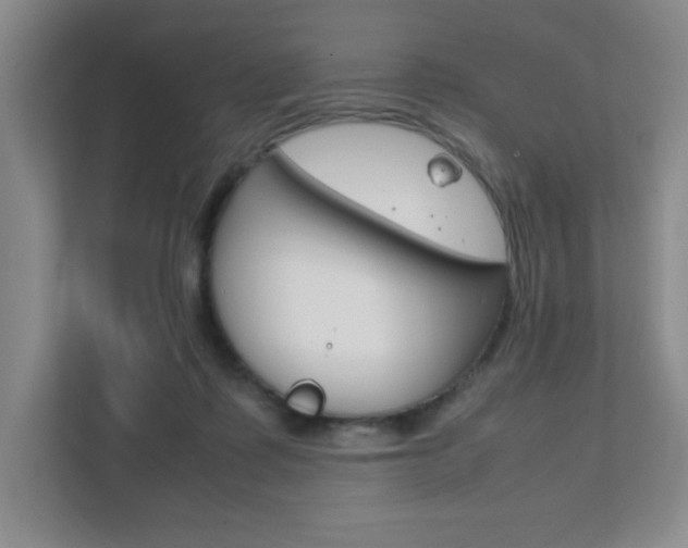 X0000111810315200907231021
