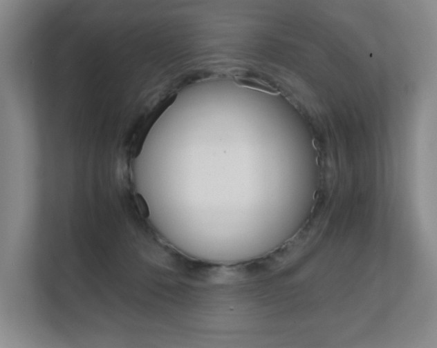 X0000111810320200907231021