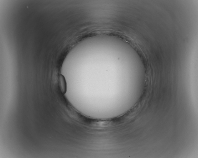 X0000111810323200907231021