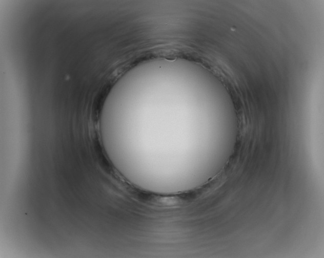 X0000111810324200907231021