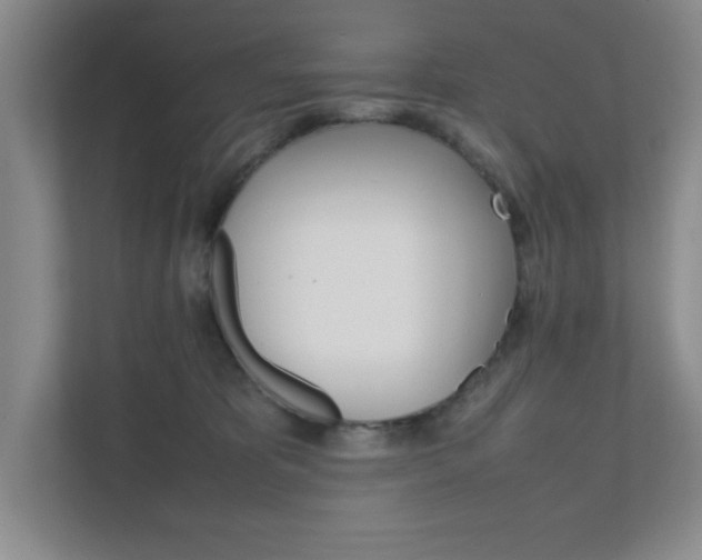 X0000111810325200907231021