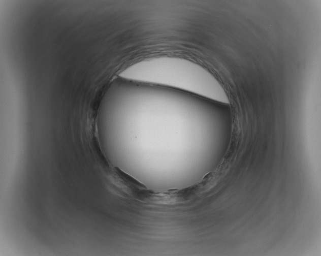 X0000111810328200907231021