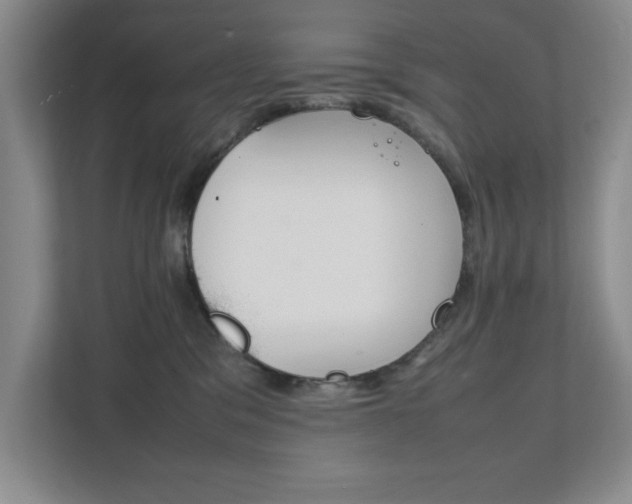 X0000111810329200907231021