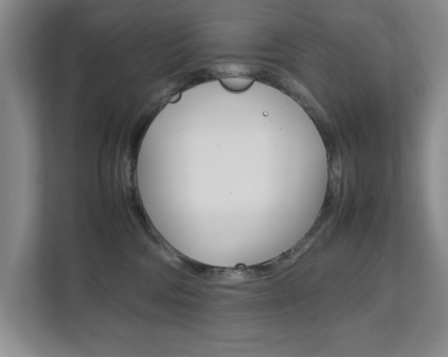 X0000111810330200907231021