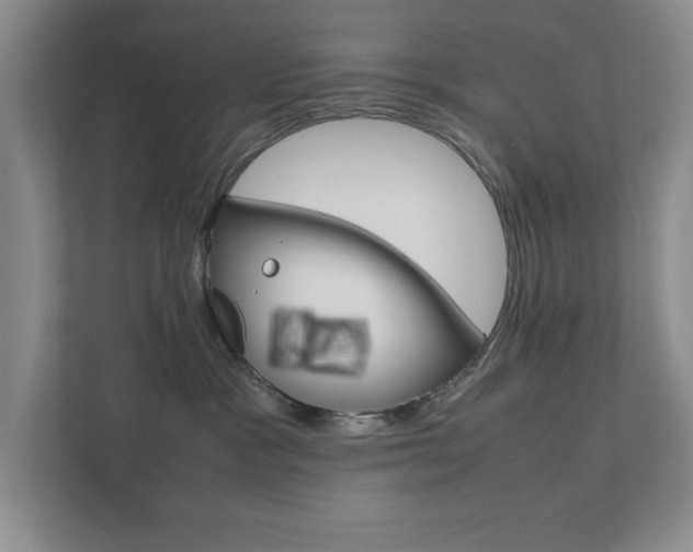X0000111810333200907231021