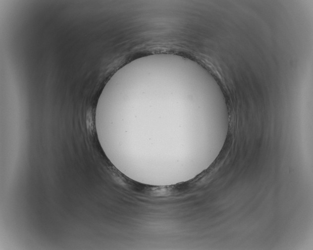 X0000111810335200907231021