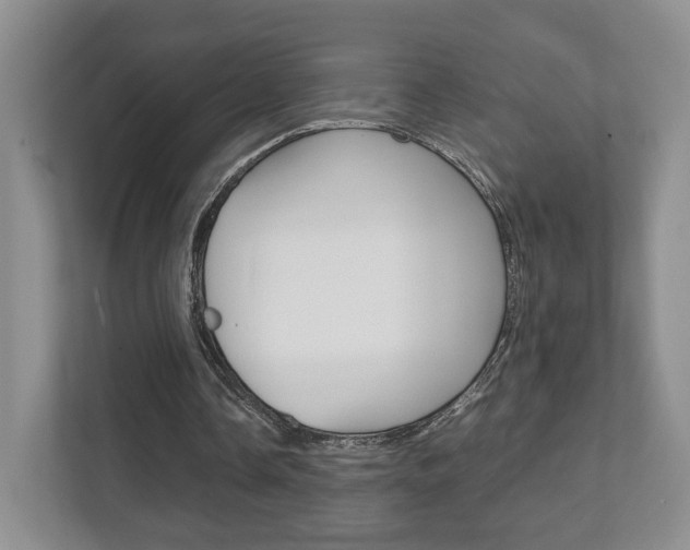 X0000111810338200907231020