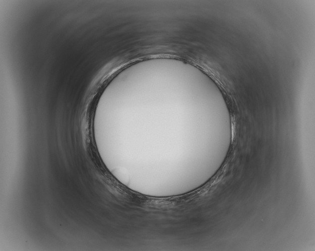 X0000111810339200907231020
