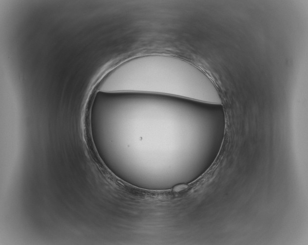 X0000111810340200907231020