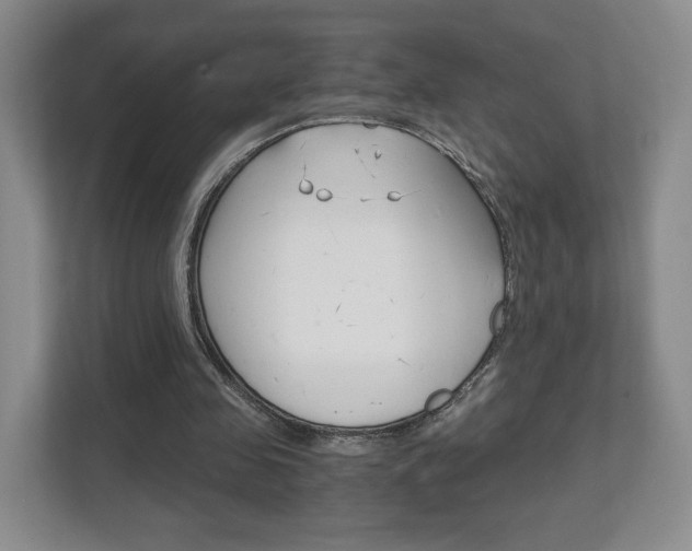 X0000111810341200907231020