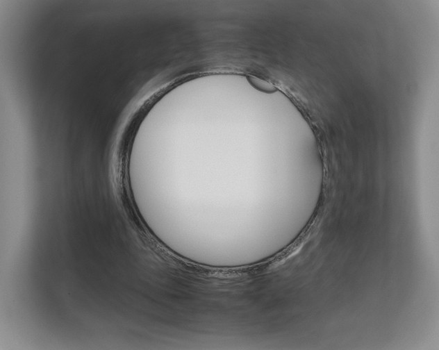 X0000111810343200907231020