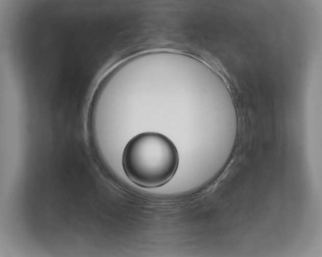 X0000111810344200907231020