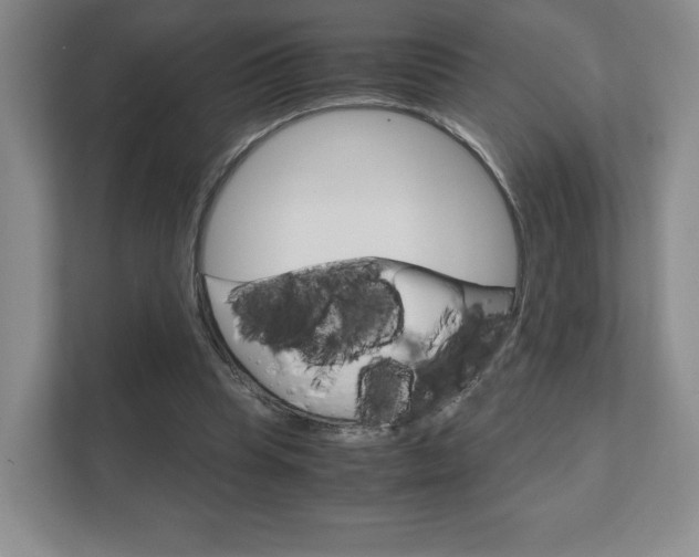 X0000111810345200907231020