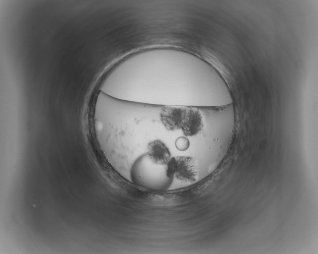 X0000111810346200907231020