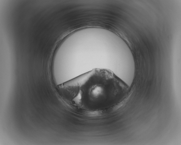 X0000111810349200907231020