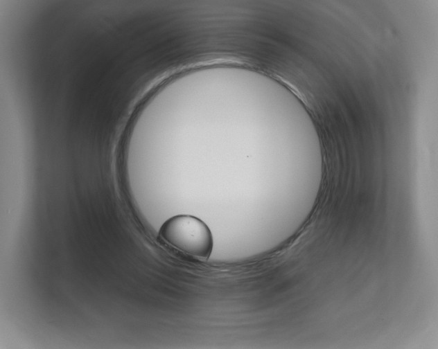 X0000111810350200907231020