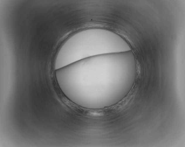 X0000111810352200907231020