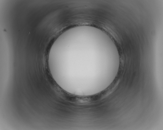 X0000111810359200907231020