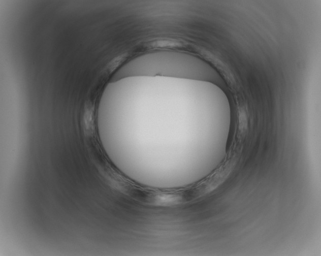 X0000111810360200907231020
