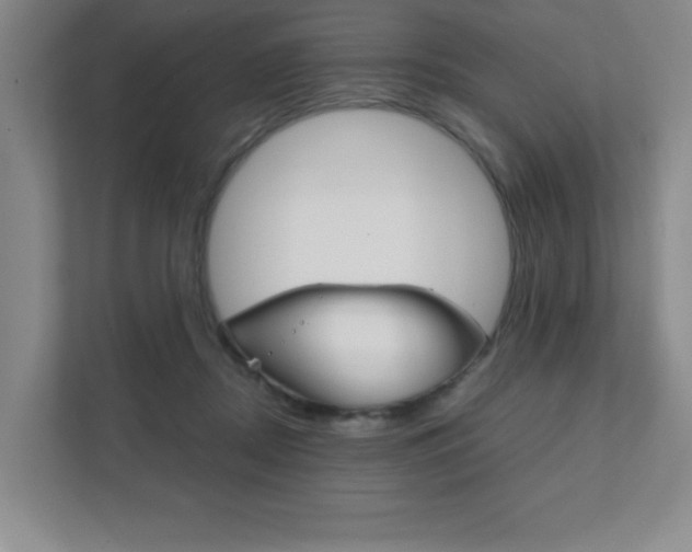 X0000111810362200907231020