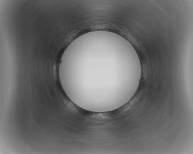 X0000111810378200907231021