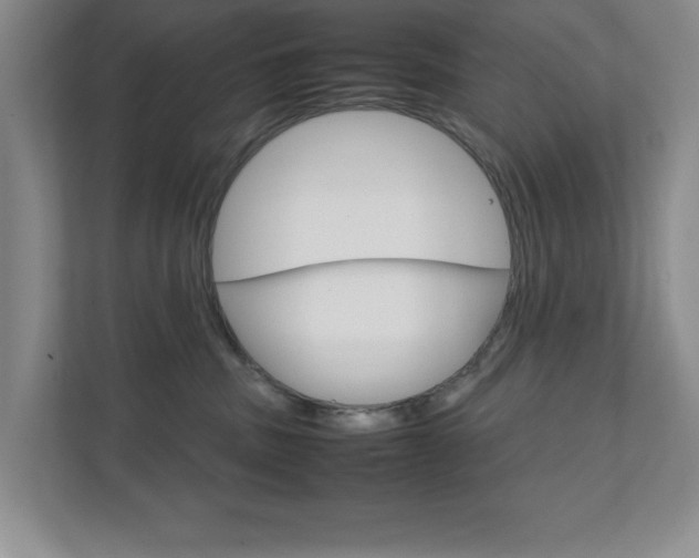 X0000111810379200907231021