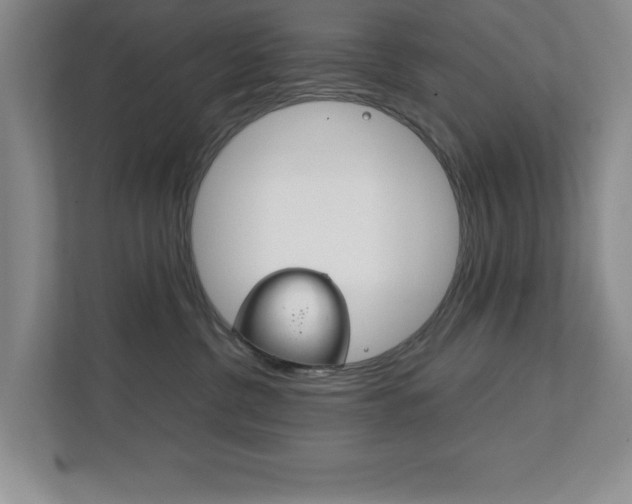 X0000111810380200907231021