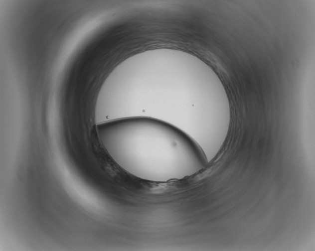 X0000111810382200907231021