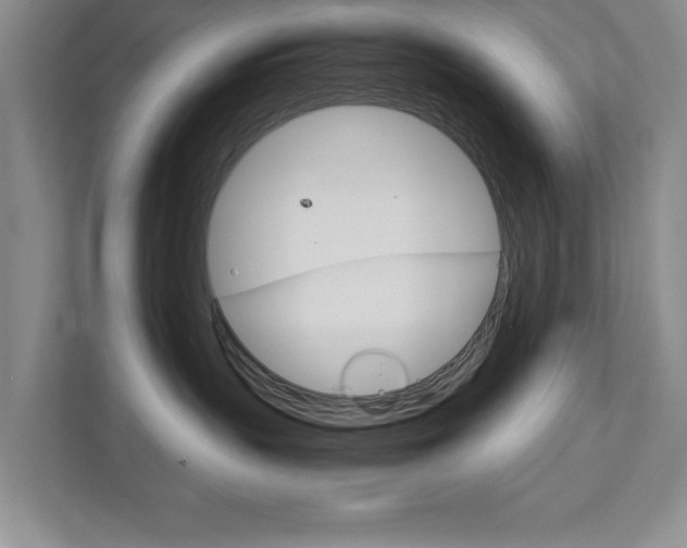 X0000111810383200907231021