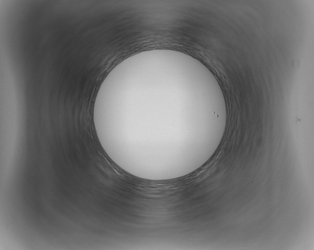 X0000111810384200907231021