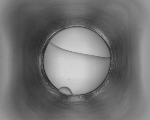X0000111810386200907231020