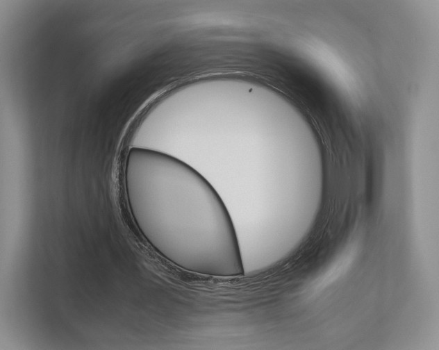 X0000111810387200907231020