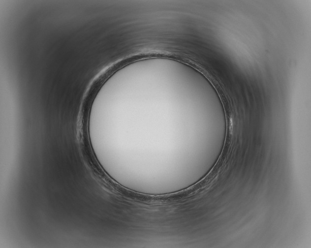 X0000111810388200907231020