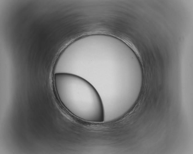 X0000111810389200907231020