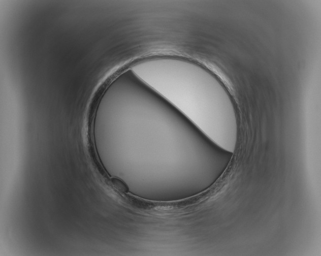 X0000111810391200907231020