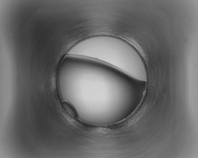 X0000111810393200907231020