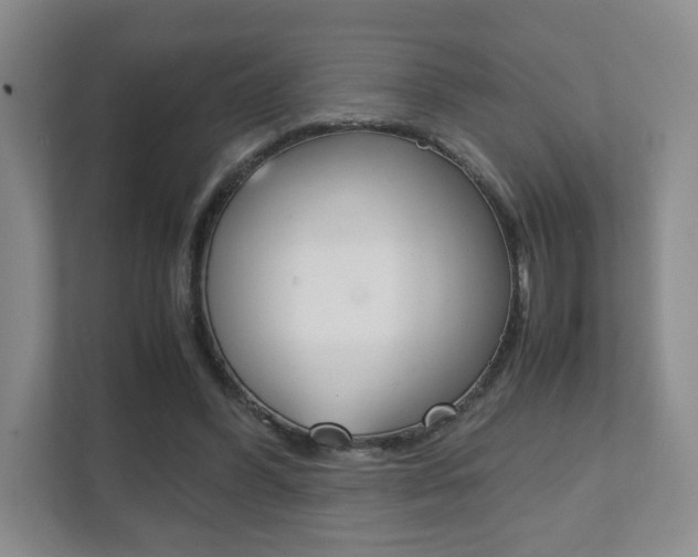 X0000111810396200907231020