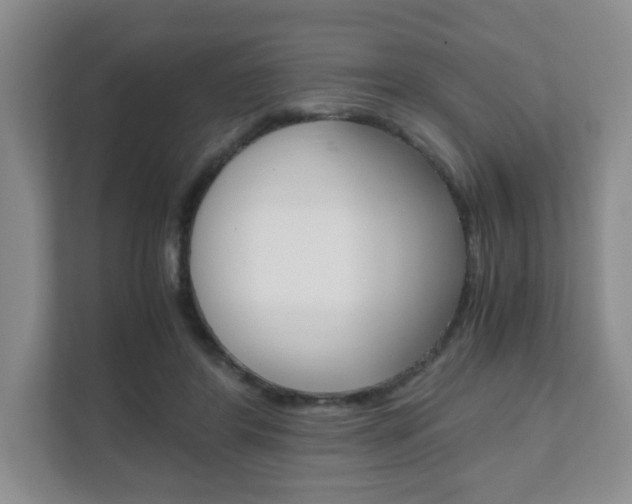 X0000111810404200907231020