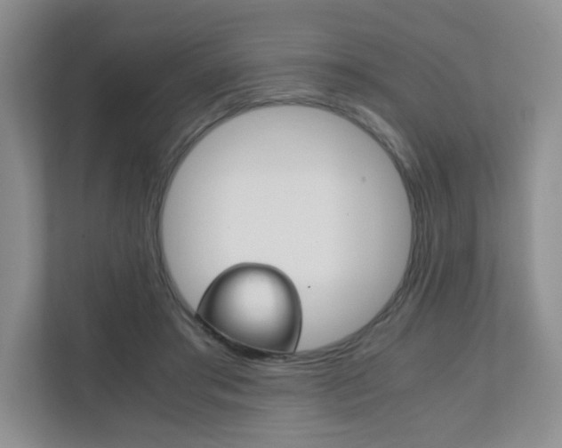 X0000111810405200907231020