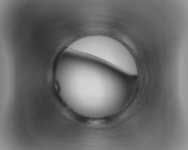 X0000111810407200907231020