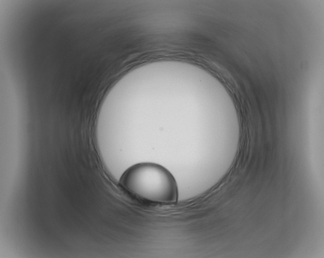 X0000111810409200907231020