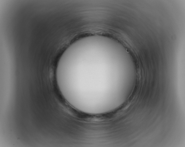 X0000111810412200907231020