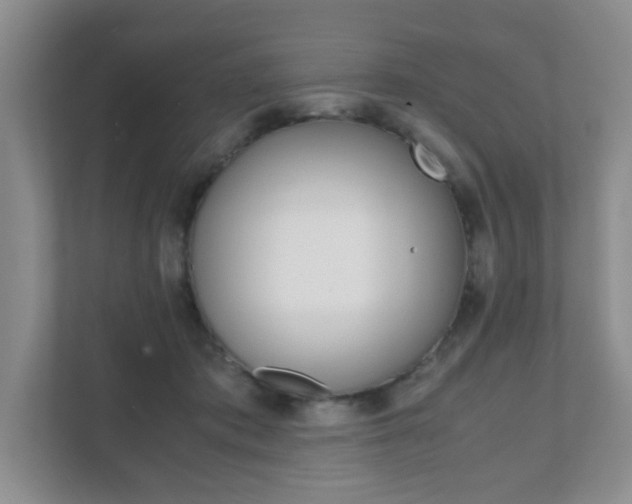 X0000111810413200907231020