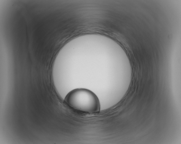 X0000111810415200907231020