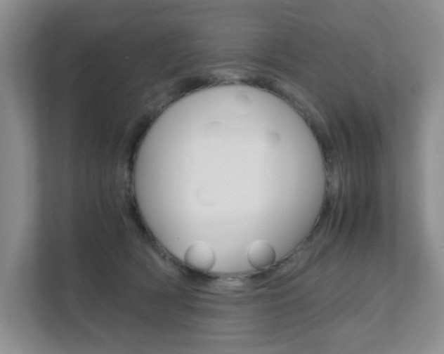 X0000111810418200907231020