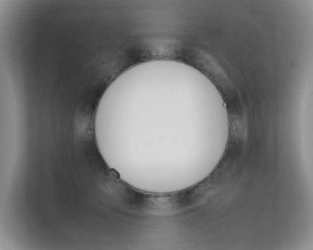 X0000111810419200907231020